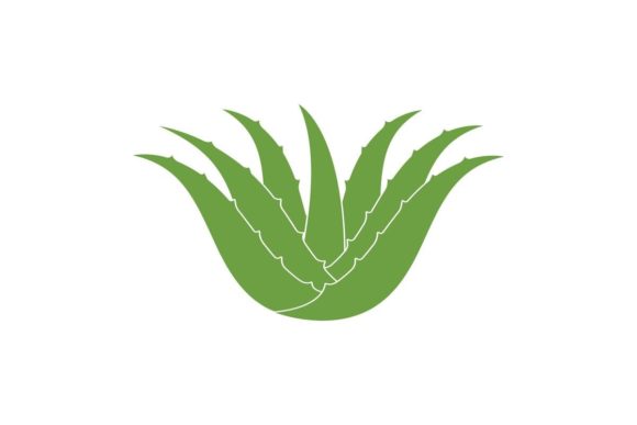 Aloe Vera Logo Icon Vector Illustration: Your Brand's Natural Touch