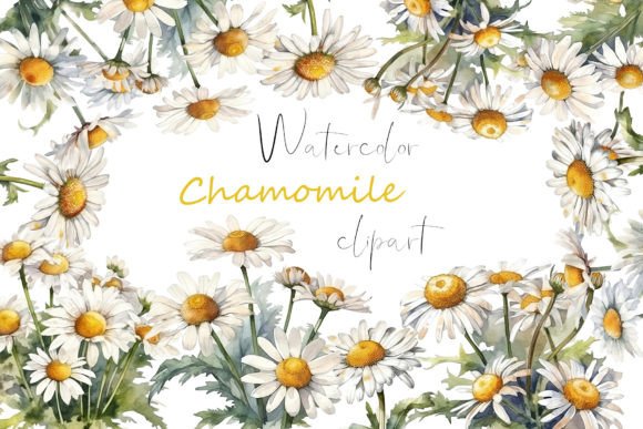 Floral Clipart Watercolor Wildflower PNG: A Breath of Fresh Air for Your Designs