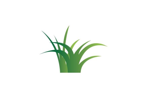 Grass Vector Illustration Template: Fresh Design Elements