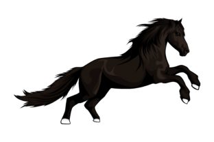 The Art of Equine Design: Practical Uses for Horse Illustrations
