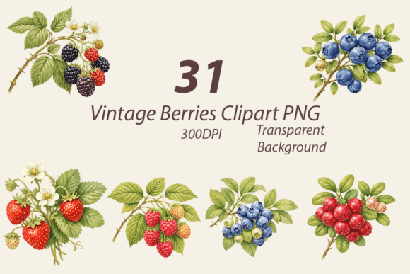 Timeless Botanical Charm: The Vintage Berries Clipart PNG Collection